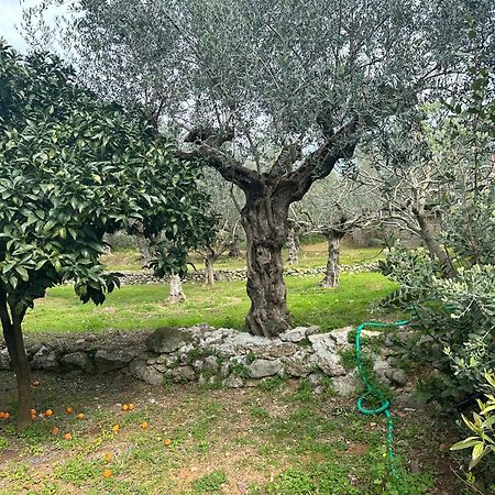 Chic Apartment In Nature, 5-Min Walk To The Beach Kalamata Exterior foto